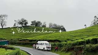 Beauty View of Devikulam in Kerala watch 👆 in 4k Quality devikulam munnar teaplantations [upl. by Sucy527]