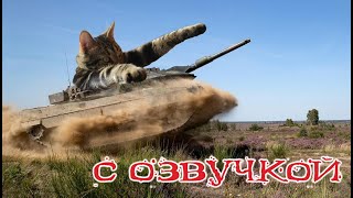 Приколы с котами КОТЫ ТАНКИСТЫ Самые смешные животные С ОЗВУЧКОЙ [upl. by Nwonknu]