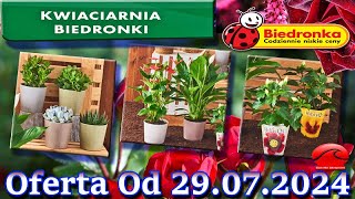 𝐁𝐈𝐄𝐃𝐑𝐎𝐍𝐊𝐀🐞Kwiaciarnia Biedronki Nowa Oferta Od 29072024 Kwiatowe Inspiracje Biedronki Tanie Kwiaty [upl. by Hertberg]