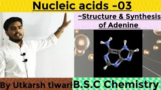 NUCLEIC ACIDS  SYNTHESIS AND STRUCTURE OF ADENINE  N2BASES  BSC ORGANIC CHEMISTRY [upl. by Yelsnya713]