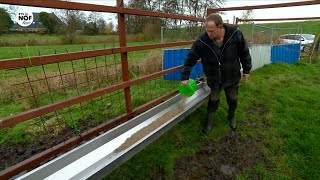 Kleine boer uit Augustinusga dreigt grond te verliezen door nieuwe pachtregels [upl. by Stoeber]