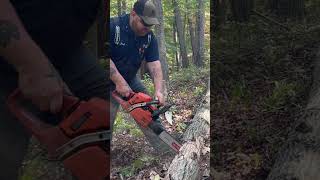 Ported husqvarna 357xp 2 husquarna chainsaw husqvarnachainsaw stihl500i wood husqvarna572xp [upl. by Leilamag]