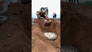 Excavator digging hill finds giant nest of python eggs python wildlife excavator anime [upl. by Bergeron]