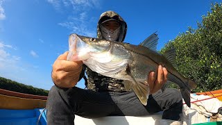 Pesca de Robalo con camarón vivo en Manglar [upl. by Otreblide997]