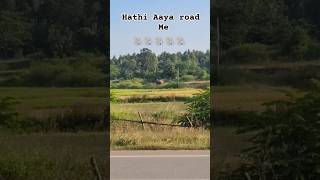 Pancheshwar blog hathi road 🛣️ aaya me bollywood movie music [upl. by Htebyram]