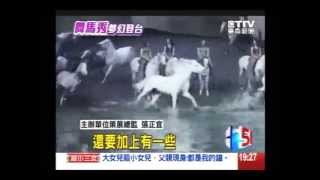 Cavalia 夢幻舞馬｜0710 東森新聞 先睹為快！ [upl. by Nnairac]