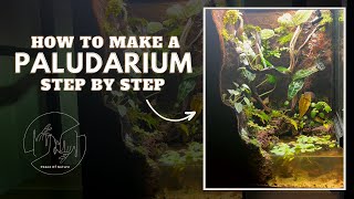 How To Build A Paludarium Step By Step 2023 [upl. by Oilerua]