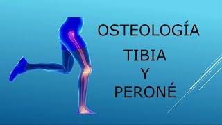 Osteología Tibia y peroné [upl. by Mcferren]