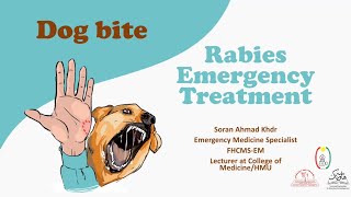 Dog bite  Rabies Emergency Treatment [upl. by Attehcram457]