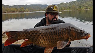 CARPFISHING GRAN DIA DE GRANDES TESOROS  PROELITEBAITS [upl. by Nile]