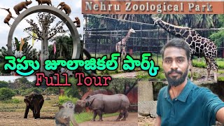 NEHRU ZOOLOGICAL PARK HYDERABAD COMPLETE TOUR  VILLAGE DIRECTOR [upl. by Manthei981]