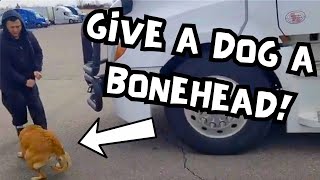 Give A Dog A Bonehead  Bonehead Truckers [upl. by Colas]