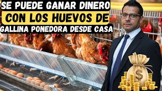 ¡Descubre Cómo los Huevos de Gallina Ponedora Pueden Cambiar tu Vida [upl. by Badr]