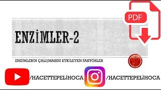 11 Enzimler2 Enzimlerin Çalışmasını Etkileyen Faktörler  TYT  9Sınıf  hacettepelihoca [upl. by Celeski]