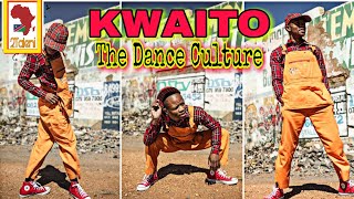 KWAITO The African Dance Style You Need To Know Before Jerusalema [upl. by Yelhs176]