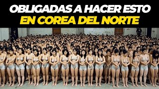 COREA DEL NORTE Secretos INTRIGA Historia y TODO LO QUE DEBES SABER sobre este gobierno [upl. by Alusru]