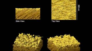 Growth of microstructured gold thin films gammatype microstructure [upl. by Cheston]