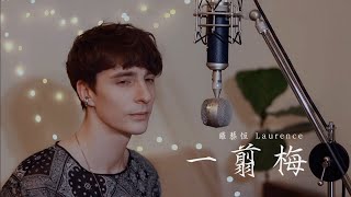 羅藝恆 Laurence 《一剪梅 xue hua piao piao》中英版 Cover 唱得不一樣 xuehuapiaopiao [upl. by Pillsbury688]