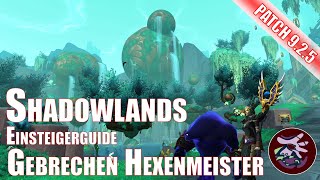 Gebrechen Hexenmeister Einsteigerguide Shadowlands World of Warcraft Patch 925 [upl. by Stefania918]