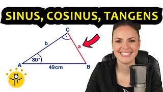 ALLES über Sinus Cosinus Tangens – Erklärung Trigonometrie Dreieck Winkel [upl. by Adnahsor]