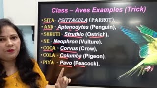 11 And NEET Class Aves with tricks to learn the examples [upl. by Elfreda681]