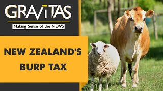 Gravitas New Zealand to tax farmers for burpy cattle [upl. by Aer]