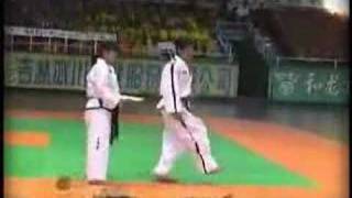 ITF Taekwondo demo by North Korean Taekwondo Demo Team [upl. by Ahsirkal]