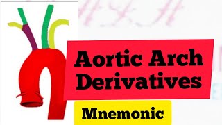 Aortic Arches Derivatives Mnemonic  MedSurvival [upl. by Alomeda528]