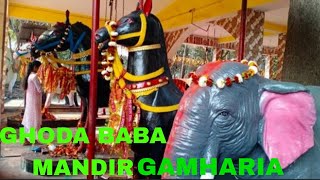 Ghoda Baba mandir Gamharia puja karne Gaye the 🙏  ghoda [upl. by Odilo]