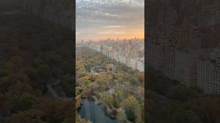 Central Park New York from 45th floor 338 [upl. by Eremihc]