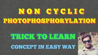 NON CYCLIC PHOTOPHOSPHORYLATION EASY WAY NEET EXAM [upl. by Hasina471]