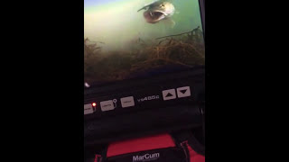 Marcum 485c underwater ice fishing camera [upl. by Corron285]