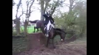 Suir Vale Harriers Hunt Clonmore Jan 2019 [upl. by Tare75]