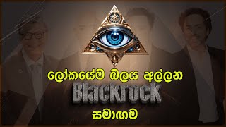 Blackrock සමාගම ඔබව පාලනය කරන හැටි  Blackrock Company  Danuwath [upl. by Stulin344]