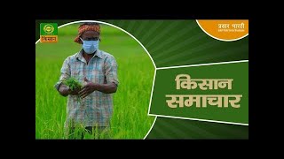 Watch latest news coverage on DD Kisans daily news bulletin Kisan Samachar  February 10 2023 [upl. by Fuhrman]