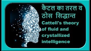 कैटेल का तरल व ठोस सिद्धान्त Cattells theory of fluid and crystallized intelligence [upl. by Hilda]