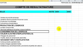 ANALYSE DU COMPTE DE RÉSULTAT  CR [upl. by Annoyt]