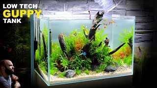 THE GUPPY TANK LOW TECH LOW BUDGET AQUASCAPE TUTORIAL [upl. by Haland]