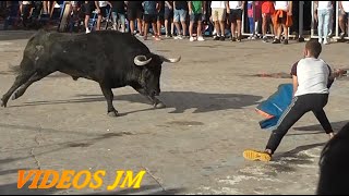 BurrianaSuelta de 2 Toros Cerriles de Madroñiz [upl. by Annod]