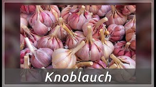 Knoblauch – heilende Eigenschaften [upl. by Vitek]