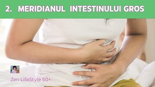 🔴 Meridianele Energetice  Meridianul Intestinului Gros [upl. by Nnylarej]