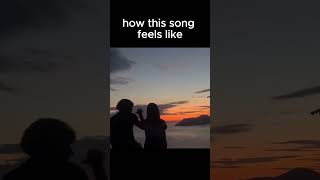 how this song feel like meme [upl. by Ahsiekahs]