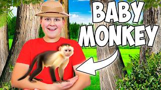 WE GOT A NEW PET BABY MONKEY [upl. by Farhi]