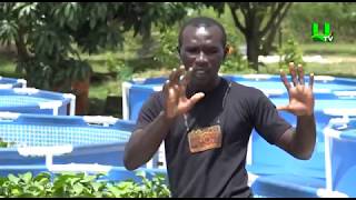 AYEKOO Bio Green Agro Fish Farming [upl. by Eanad127]