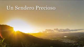 Un Sendero Precioso 432  Piano Instrumental [upl. by Namso]