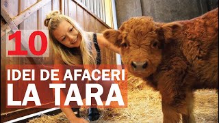 10 idei de afaceri la tara  10 afaceri potrivite pentru mediul rural [upl. by Hannazus]