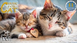 Music for Nervous Cats  Deep Relaxation Music for Cats  Peaceful Piano Music to Calm Cats [upl. by Bonnibelle]