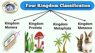 9th Biology  333 Four Kingdom Classification  Chp 3 Biodiversity [upl. by Henarat382]