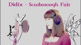 Didix  Scarborough Fair Celtic Woman version [upl. by Sredna]