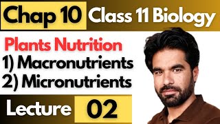 Plants Nutrition in pashto  Micronutrients amp macronutrients  11th bio chap 10  Lecture 02 [upl. by Negyam271]